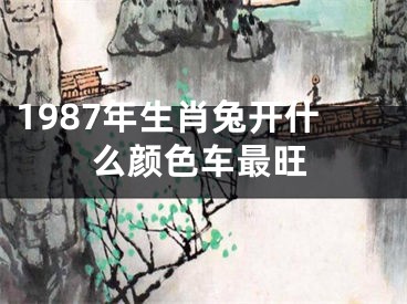 1987年生肖兔开什么颜色车最旺