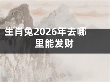 生肖兔2026年去哪里能发财
