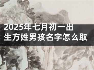 2025年七月初一出生方姓男孩名字怎么取