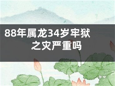 88年属龙34岁牢狱之灾严重吗