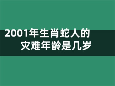 2001年生肖蛇人的灾难年龄是几岁