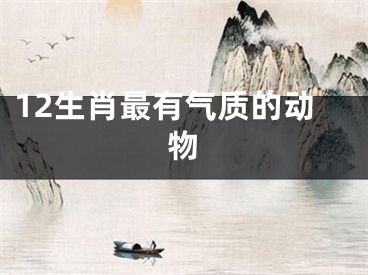 12生肖最有气质的动物