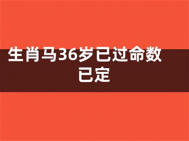 生肖马36岁已过命数已定