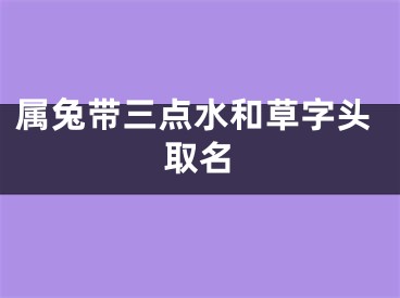 属兔带三点水和草字头取名