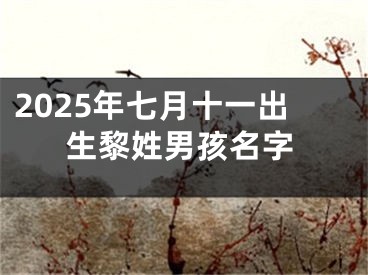 2025年七月十一出生黎姓男孩名字