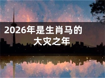 2026年是生肖马的大灾之年