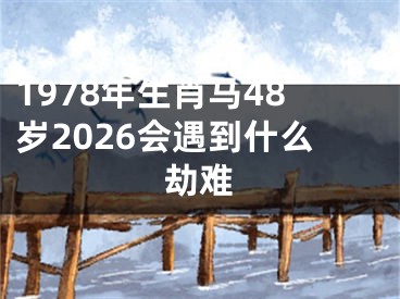 1978年生肖马48岁2026会遇到什么劫难
