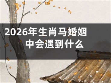 2026年生肖马婚姻中会遇到什么