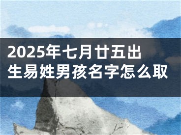 2025年七月廿五出生易姓男孩名字怎么取