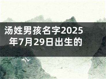 汤姓男孩名字2025年7月29日出生的
