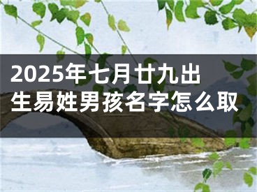 2025年七月廿九出生易姓男孩名字怎么取