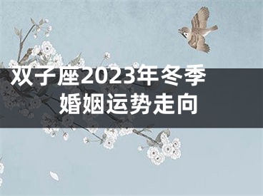 双子座2023年冬季婚姻运势走向