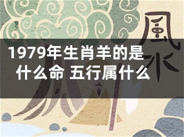 1979年生肖羊的是什么命 五行属什么