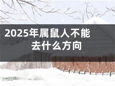 2025年属鼠人不能去什么方向