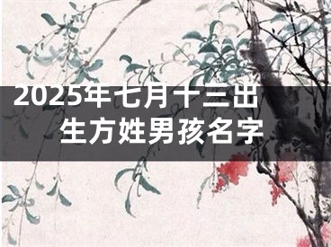 2025年七月十三出生方姓男孩名字