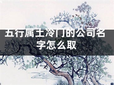 五行属土冷门的公司名字怎么取
