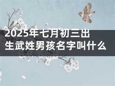 2025年七月初三出生武姓男孩名字叫什么