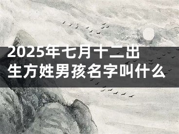 2025年七月十二出生方姓男孩名字叫什么