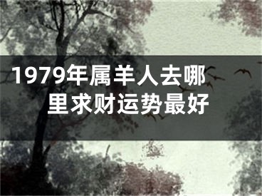 1979年属羊人去哪里求财运势最好