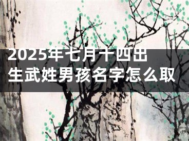 2025年七月十四出生武姓男孩名字怎么取