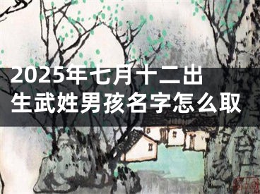 2025年七月十二出生武姓男孩名字怎么取