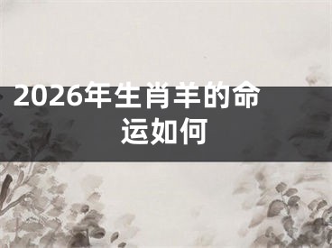 2026年生肖羊的命运如何