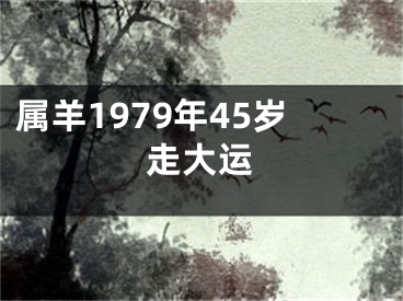 属羊1979年45岁走大运