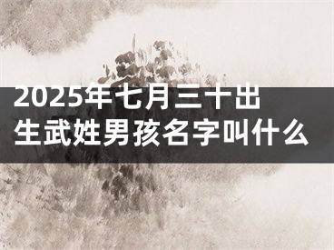 2025年七月三十出生武姓男孩名字叫什么