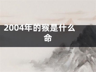 2004年的猴是什么命