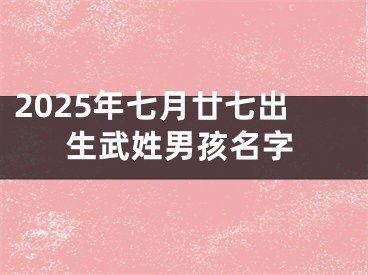 2025年七月廿七出生武姓男孩名字
