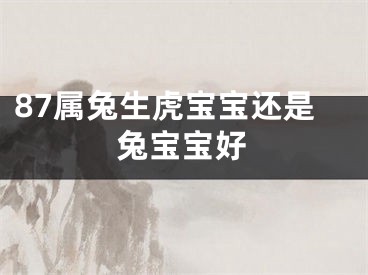 87属兔生虎宝宝还是兔宝宝好