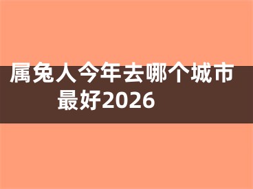 属兔人今年去哪个城市最好2026