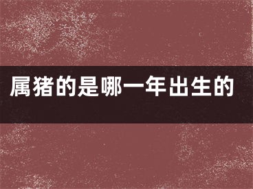 属猪的是哪一年出生的