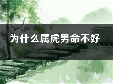 为什么属虎男命不好