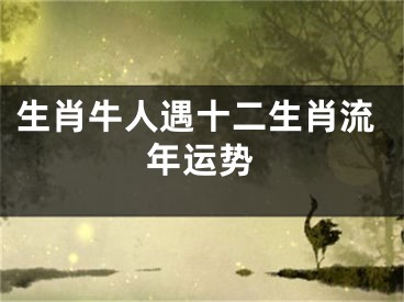 生肖牛人遇十二生肖流年运势