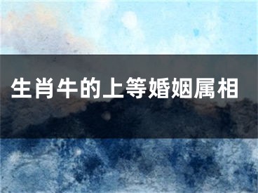 生肖牛的上等婚姻属相