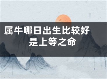 属牛哪日出生比较好 是上等之命