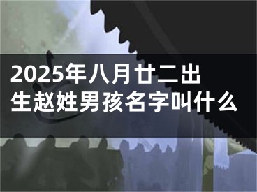 2025年八月廿二出生赵姓男孩名字叫什么