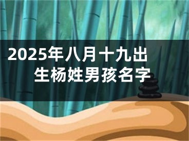 2025年八月十九出生杨姓男孩名字