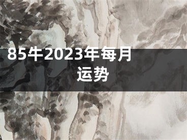 85牛2023年每月运势