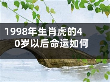 1998年生肖虎的40岁以后命运如何