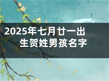 2025年七月廿一出生贺姓男孩名字