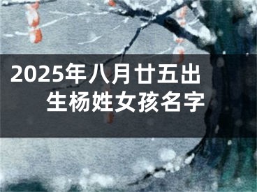 2025年八月廿五出生杨姓女孩名字