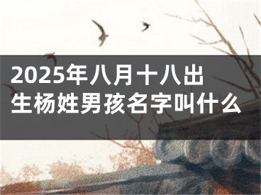 2025年八月十八出生杨姓男孩名字叫什么