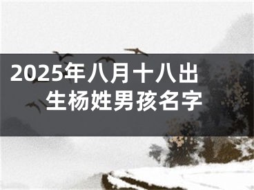 2025年八月十八出生杨姓男孩名字