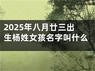 2025年八月廿三出生杨姓女孩名字叫什么