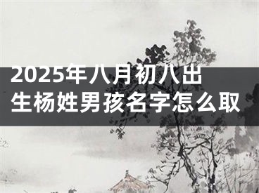2025年八月初八出生杨姓男孩名字怎么取