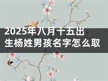 2025年八月十五出生杨姓男孩名字怎么取