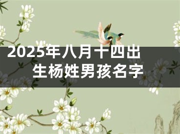 2025年八月十四出生杨姓男孩名字
