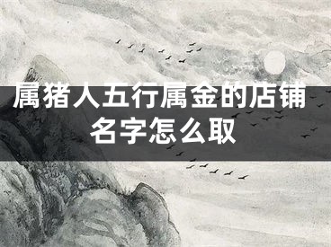 属猪人五行属金的店铺名字怎么取